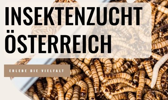 Insektenzucht Österreich - Erlebe die Vielfalt

Bild mit Larven
